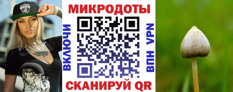 даркнет сайт Богородск Псилоцибиновые грибы GOLDEN TEACHER