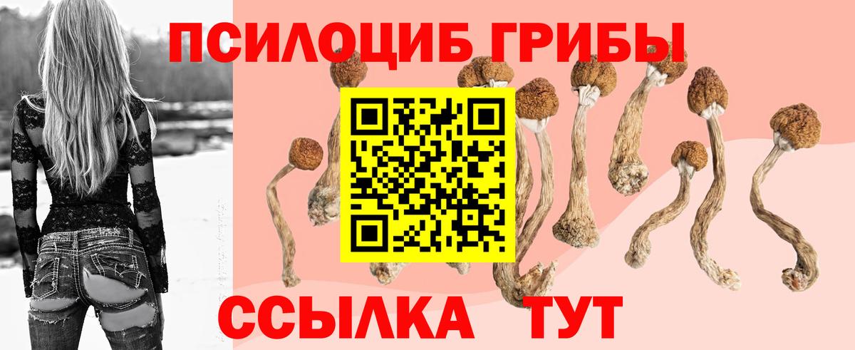 Галлюциногенные грибы MAGIC MUSHROOMS Богородск